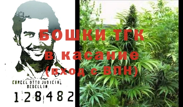 крисы Аркадак
