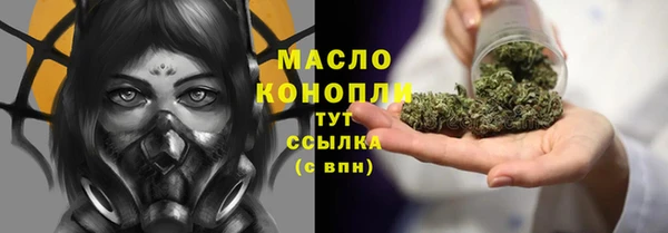 крисы Армянск