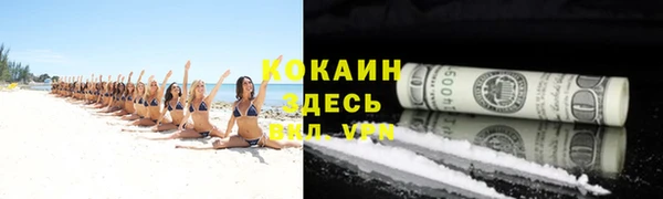 крисы Армянск