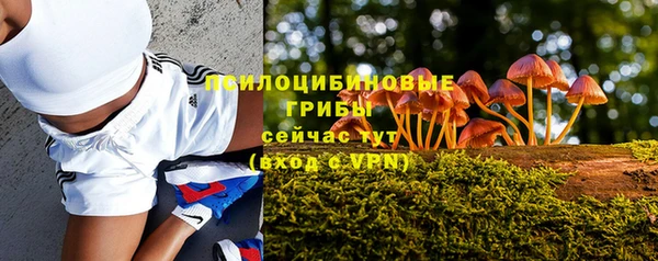 крисы Армянск