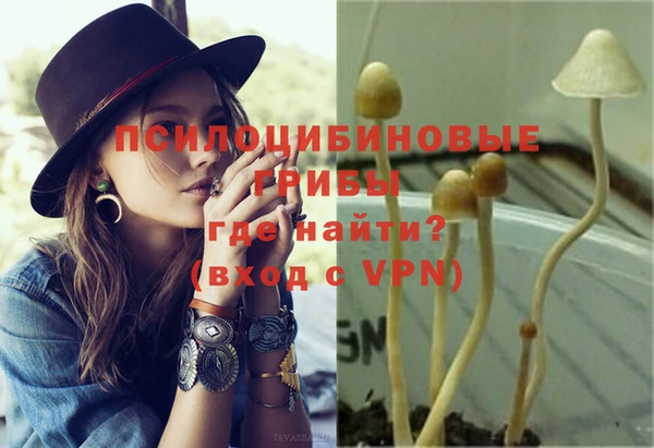 крисы Аркадак