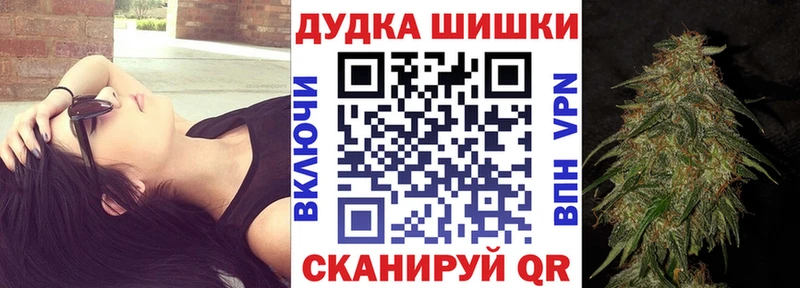 Бошки Шишки планчик Цивильск